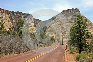 Road leading trough the colorful landscape and mountains of Zion National Park, USA