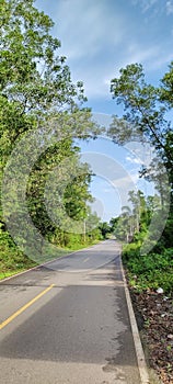 The road leads into the rainforests of Southeast Asia.