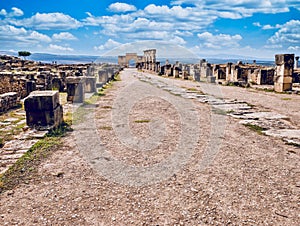 Ruins of the ancient Roman settlement of Volubilis in Morocco.