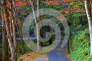 Road Leads to Takachiho Gorge in Miyazaki, Japan in Colorful Autumn