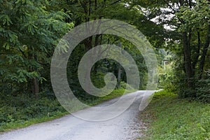 The road that leads to the Unguru Mare Cave, along the right bank of the Crisului Repede river.. photo