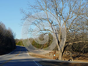 Road with leafless trees in winter time