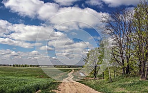 The road leaving afar in Spring Valley