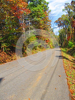 Road lined with fall foliage