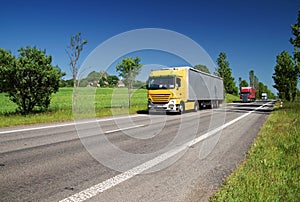 Road lined with trees in a rural landscape, three passing colored trucks