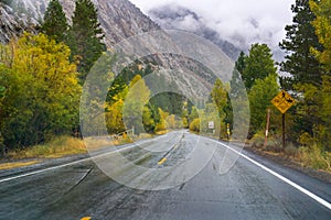 Road lined up with colorful aspen trees