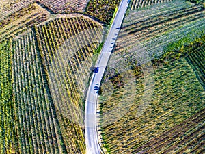 A road lined with vineyards. Natural backgroun image. d