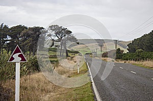 `The road and logo marker of Southern Scenic Route in New Zealand`s South Island.