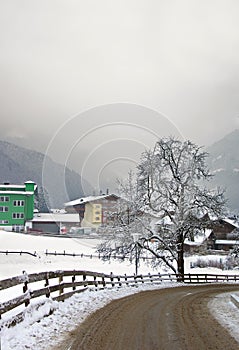 A road and a lonely tree in an alpine valley, with mountains covered with mist and clouds in the background