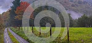 Road that is lost in the forest in autumn, Araxes river valley, Navarra