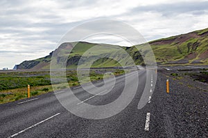 Road between lupines in Iceland