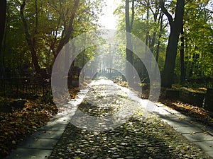 Road of a lutheran cemetery