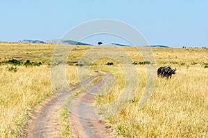 Road of Maasai Mara