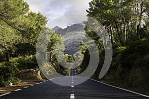 A road through the Majorcan countryside photo