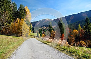 Road in Mala Fatra National Park