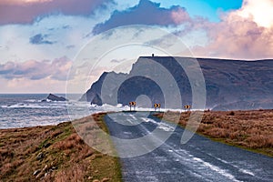 The road between Malin Beg and Glencolumbkille during storm Ciara in County Donegal - Ireland