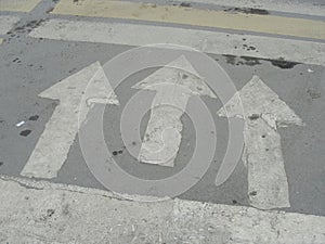 Road markings. arrows showing the direction of movement at the intersection crosswalk.