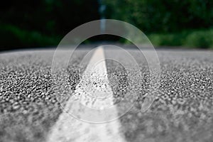 Road markings on the asphalt in the forest