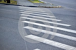 Road markings in the city pedestrian crossing on asphalt