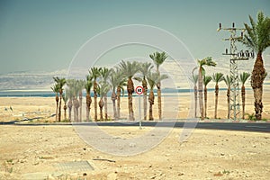 Road from Masada