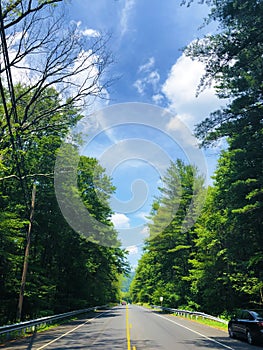 A road through the Mattatuck Trail