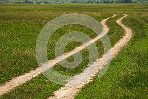 Road through the meadow