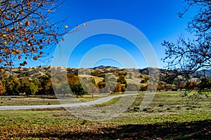 A Road Meanders Through Joseph D Grant County Park