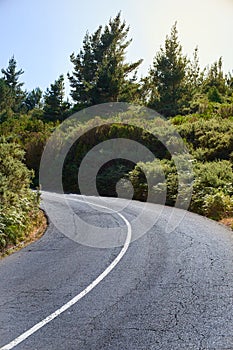 road in the middle of the forest, asphalt white lane curve