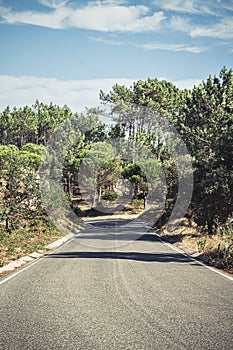 A road through the middle of the Sintra