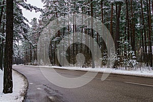 The road in the middle of a winter forest with pines covered with snow, in winter.Winter landscape