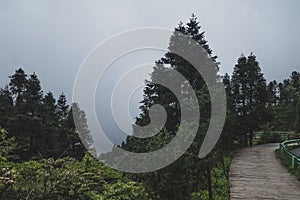 Road on Mingyue Mountain, Jiangxi, China