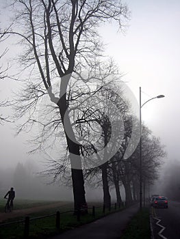 Road on a misty day