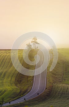 Road through misty Tuscany Italy meadows on a dramatic winter season day