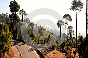 Road in the Mointain