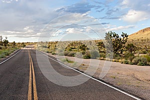 On the road in Mojave National Preserve