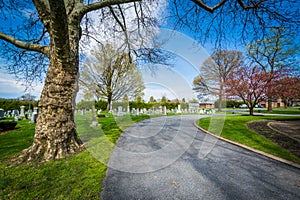 Road at Mount Olivet Cemetery in Frederick, Maryland. photo