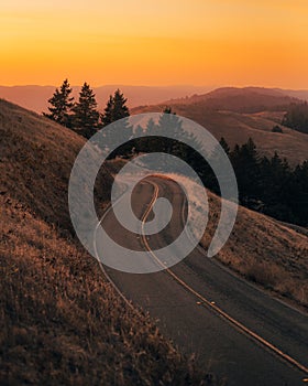 Road on Mount Tamalpais at sunset