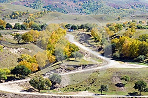 road and mountain forest in the autumn