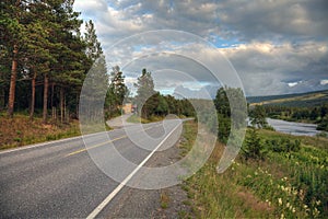 Road mountain landscape forest trees Norway green nature summer enoty highway mountains asphalt rural way country tree trip route