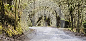 Road in a Mountain O Courel in Lugo, galicia Spain photo