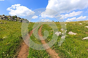 Road on mountain's meadow