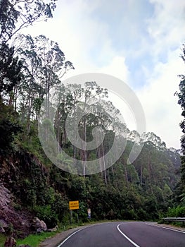 Road in the mountainous area with forest around it