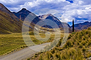 Road in mountainous landscape photo