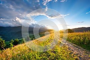 Road in the mountains. Grass and sunset. Natural summer landscape. Sun shine and sky. Rural landscape.