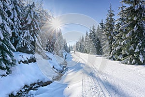 Road in mountains with groomed ski trail and stream beside