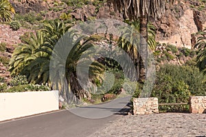 Road in the mountains on the island of Gran Canaria