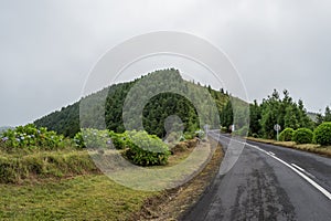Road in mountains in SÃ£o Miguel island - Azores PORTUGAL photo