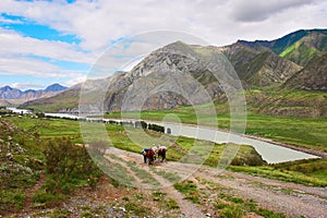 Road, mountains, two horses and mens.