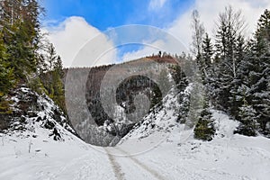 Road through the mountains in winter, snow landscape