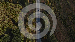 Road and moving cars between colorful autumn forest